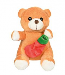 ENFEITE URSO COM BOTA